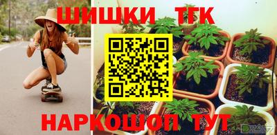 гашик Ливны