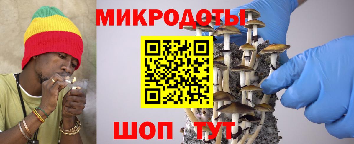 Псилоцибиновые грибы прущие грибы Грязи